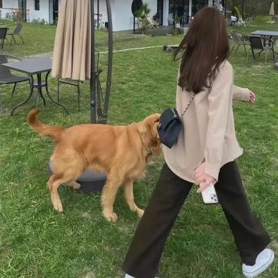 克拉拉的背叛